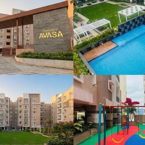 WhatsApp Image 2025-11-29 at 23.48.05_25875882